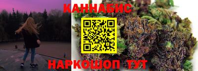 шишки Дубна