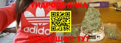 шишки Дубна