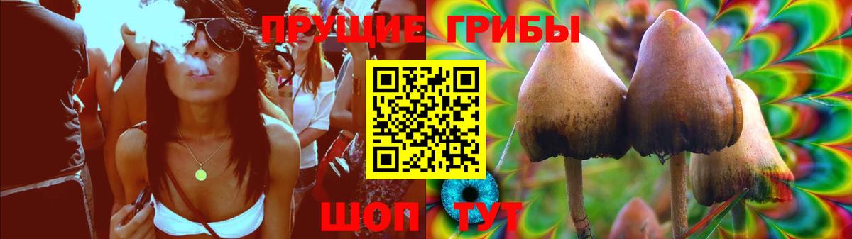 Галлюциногенные грибы Psilocybe Лыткарино