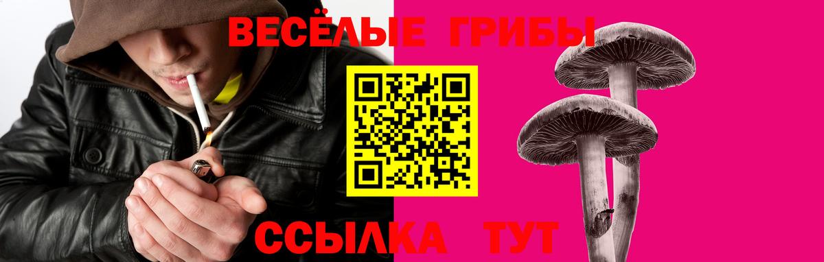 Лыткарино  Псилоцибиновые грибы ЛСД  Вход с VPN 